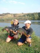 Stolnici